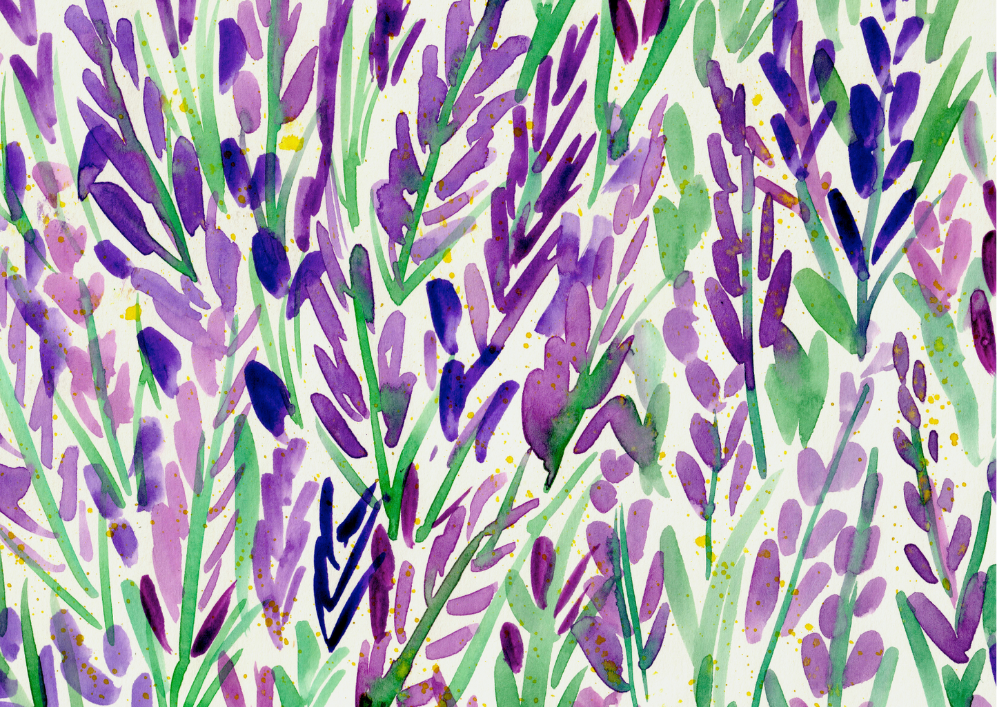 Lovely Lavender