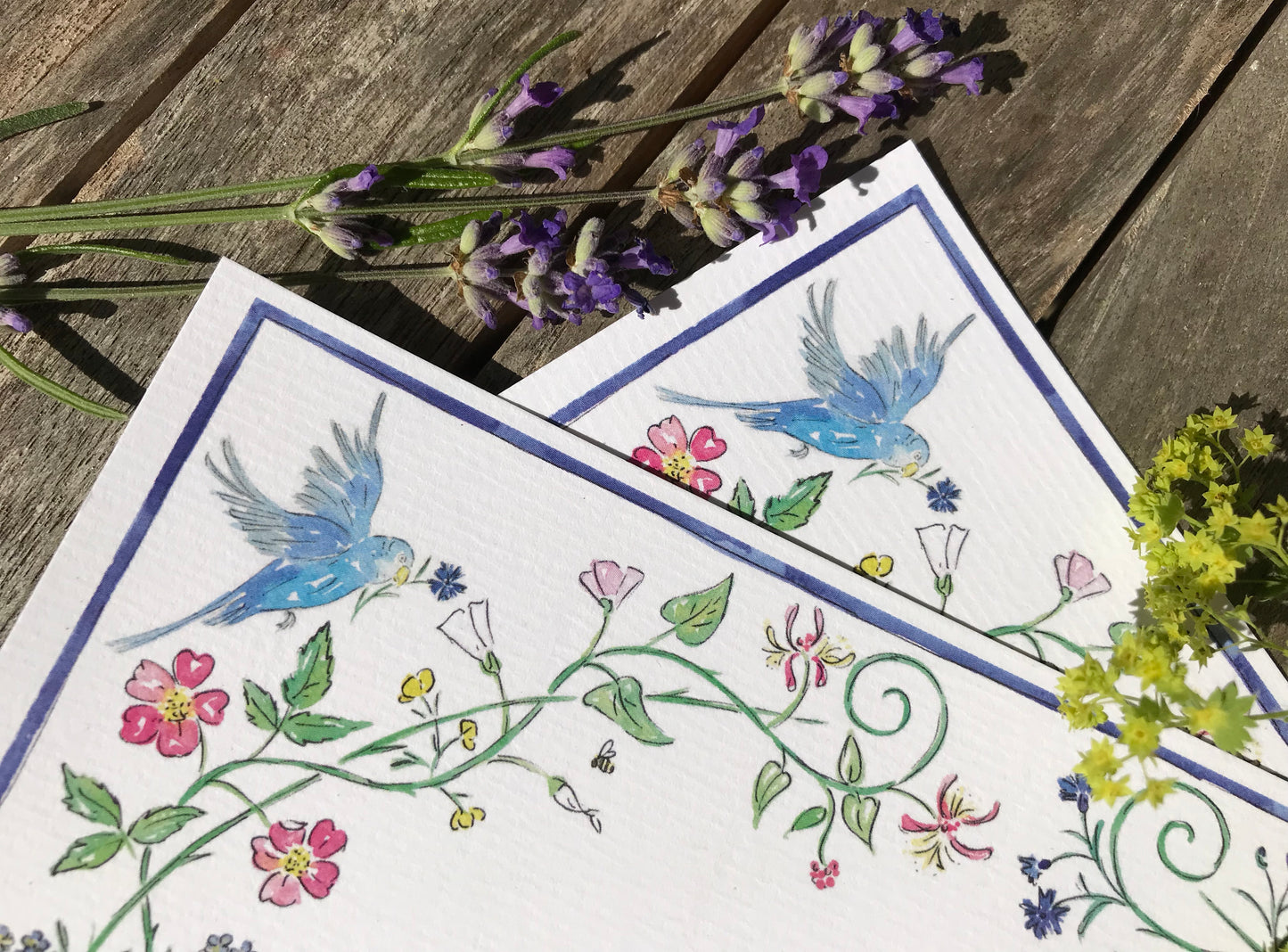 Birds and Butterflies